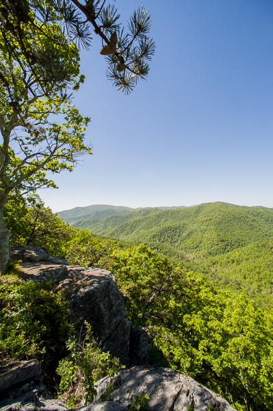 smokeymountainscamping-1