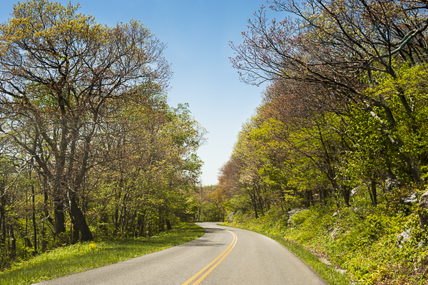 smokeymountainscamping-2