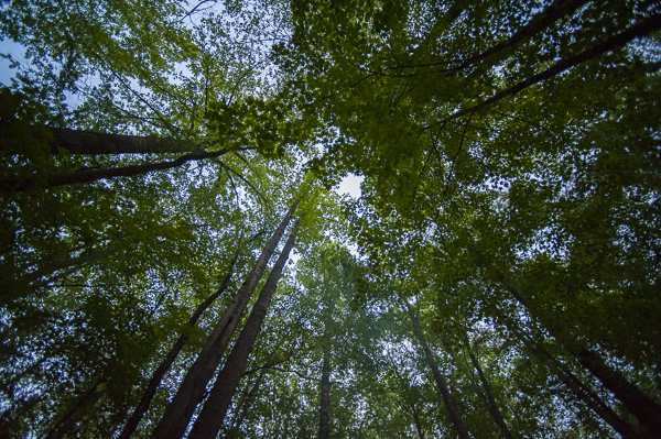 smokeymountainscamping-3