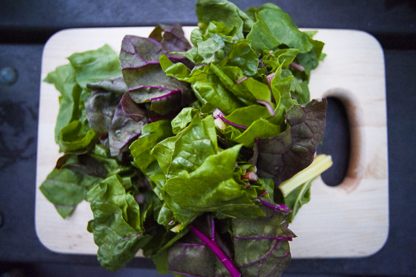 smokeymountainscamping-4