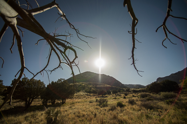 Guadalupe Mountains