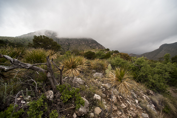 guadalupe_mountains-3