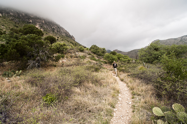 guadalupe_mountains-4