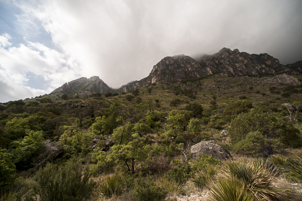 guadalupe_mountains-5