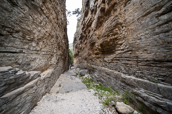 guadalupe_mountains-7