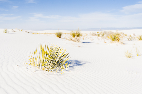 white_sands-9