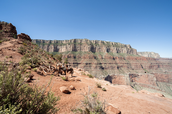 grand_canyon-11