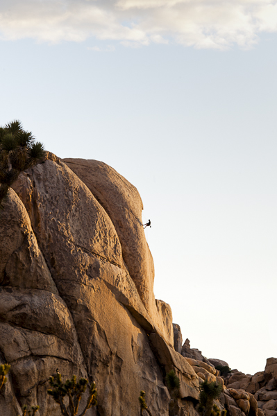 joshuatree-5