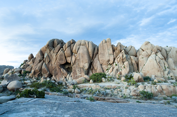 joshuatree-7