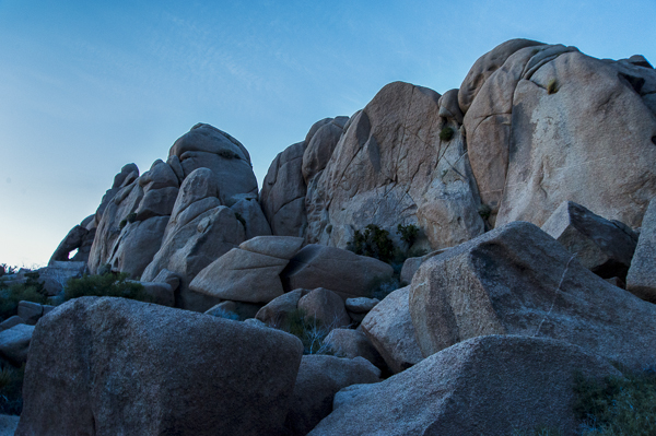 joshuatree-9