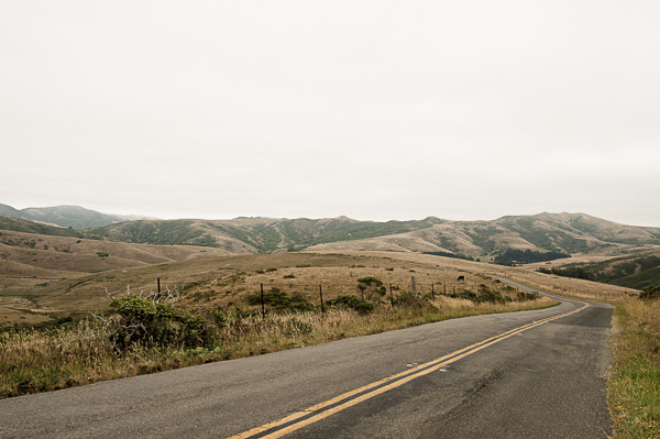 pointreyes-15