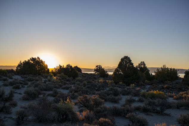 Rise with the&nbsp;Sun