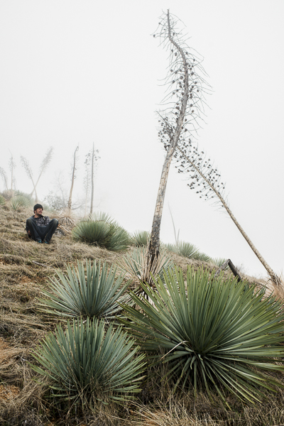 Taste the Wild&nbsp;Wilderness