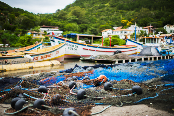 barra da lagoa boats