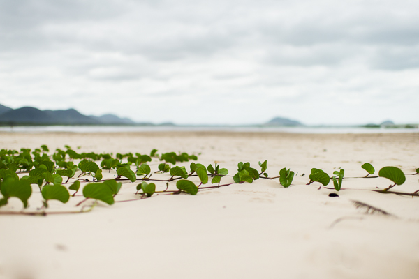 floripa_barra_da_lagoa-5