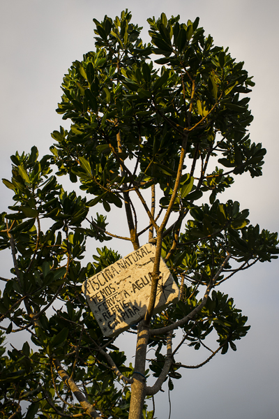 natural pools florianopolis brazil