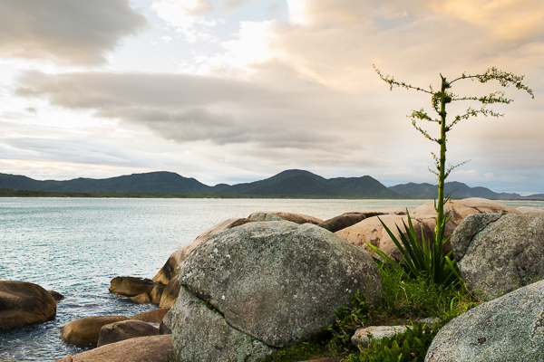natural pools florianopolis brazil