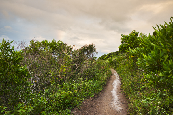 natural pools florianopolis brazil