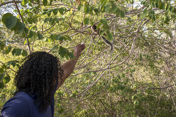 travel photography brazil