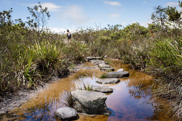 chapada diamantina