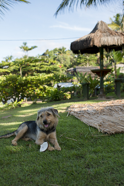 itacare-brazil-surf-3184