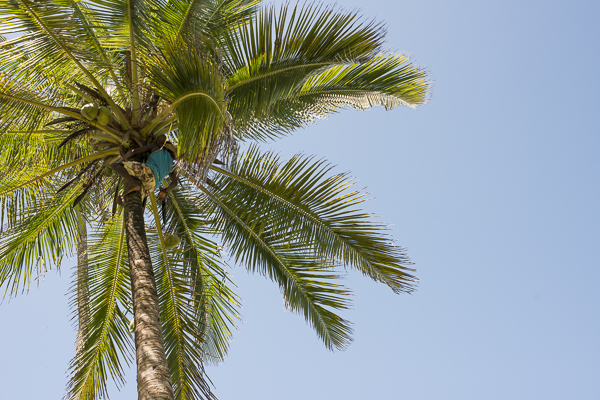 Itacare, Bahia Brazil