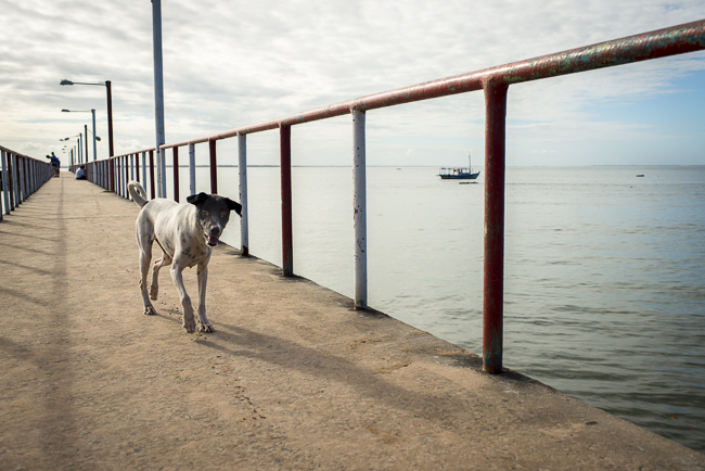bahia_brazil-2329