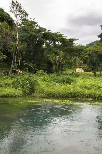 jamaica-6956