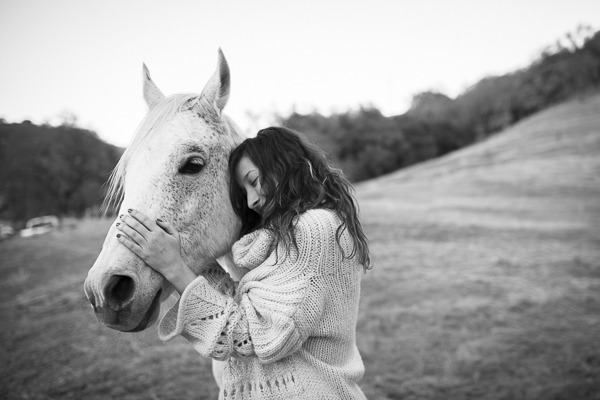 horse love