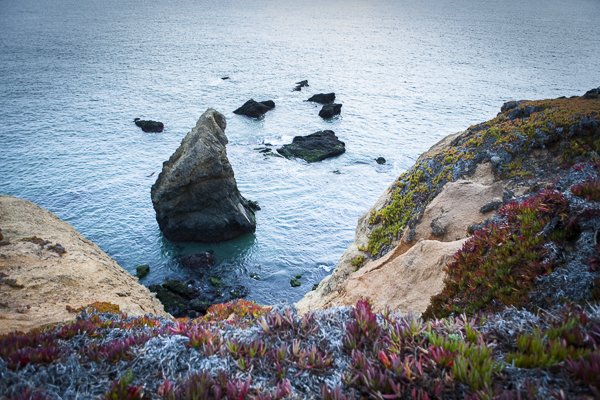 Fall in the&nbsp;Headlands