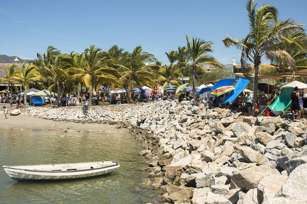 sunday farmer's market