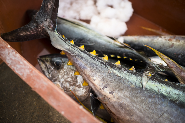 fish market de la cruz
