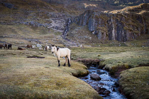 lares trek