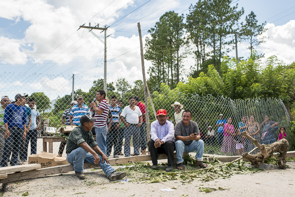 farmers against monsanto